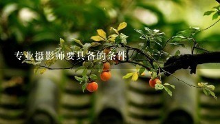 专业摄影师要具备的条件