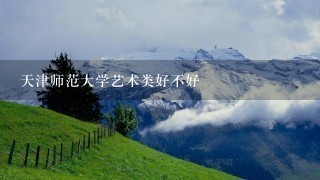 天津师范大学艺术类好不好