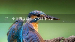 开1个摄影公司，名字叫什么好