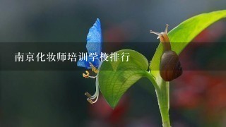 南京化妆师培训学校排行