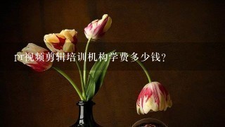 pr视频剪辑培训机构学费多少钱?