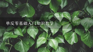 单反0基础入门知识教学