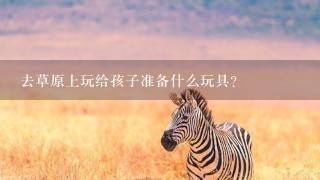 去草原上玩给孩子准备什么玩具?