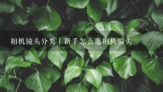 相机镜头分类｜新手怎么选相机镜头