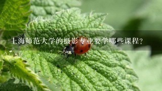 上海师范大学的摄影专业要学哪些课程？