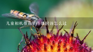 儿童相机推箱子等级时该怎么过