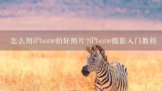 怎么用iPhone拍好照片?iPhone摄影入门教程