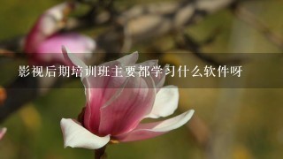 影视后期培训班主要都学习什么软件呀