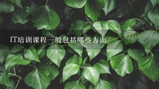 IT培训课程1般包括哪些方面