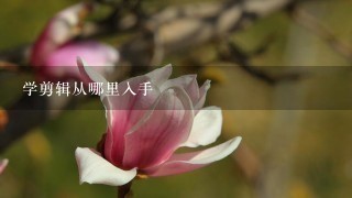 学剪辑从哪里入手