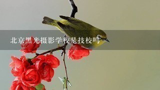 北京黑光摄影学校是技校吗