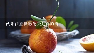 沈阳汪正摄影免费是真的吗