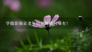 学摄影南京老年培训班请问哪有？