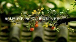 奥林巴斯SP-600UZ相机说明书下载