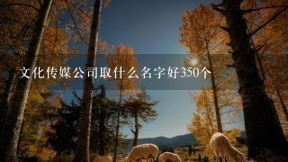 文化传媒公司取什么名字好350个