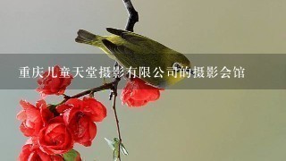 重庆儿童天堂摄影有限公司的摄影会馆