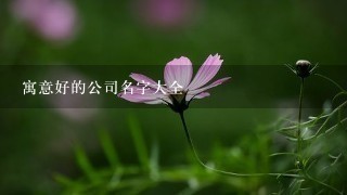 寓意好的公司名字大全