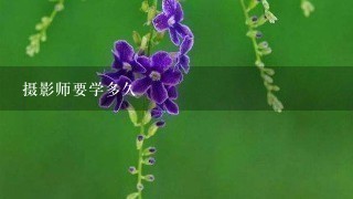 摄影师要学多久