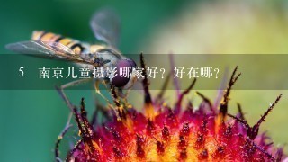 5 南京儿童摄影哪家好？好在哪？