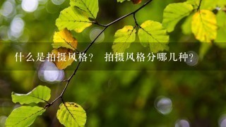 什么是拍摄风格？ 拍摄风格分哪几种？