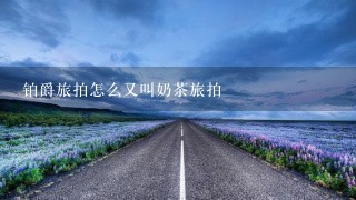 铂爵旅拍怎么又叫奶茶旅拍