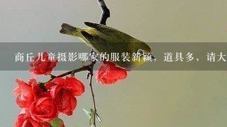 商丘儿童摄影哪家的服装新颖，道具多，请大家给推荐1个。