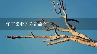 汪正影业的公司简介