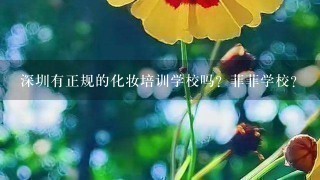 深圳有正规的化妆培训学校吗？菲菲学校？