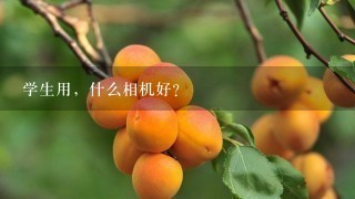 学生用，什么相机好?