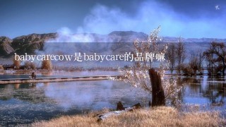 babycarecow是babycare的品牌嘛