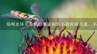 郑州北环儿童摄影那家拍的不错价格实惠，不想跑太远