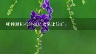 哪种照相机的拍照效果比较好?