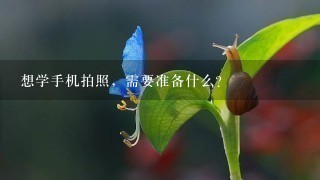 想学手机拍照，需要准备什么？