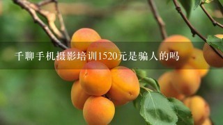 千聊手机摄影培训1520元是骗人的吗