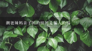 潮爸辣妈亲子团的组团是骗人的吗