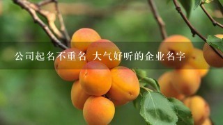 公司起名不重名 大气好听的企业名字