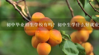 初中毕业招生学校有吗？初中生学什么好就业？初中毕业后做什么好？初中学历怎么找工作？