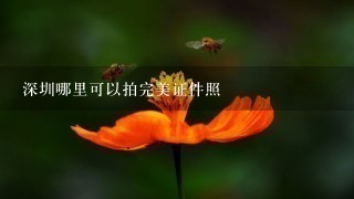 深圳哪里可以拍完美证件照