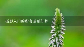 摄影入门的所有基础知识