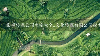 影视传媒公司名字大全_文化传媒有限公司起名