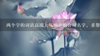 两个字的词语高端大气响亮的公司名字。求帮忙？