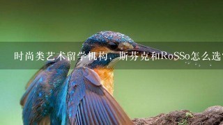 时尚类艺术留学机构，斯芬克和RoSSo怎么选？