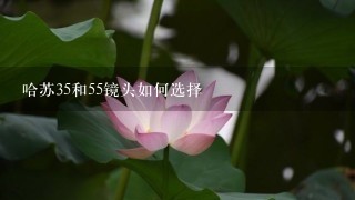 哈苏35和55镜头如何选择