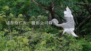 请帮给广告、摄影公司取名？