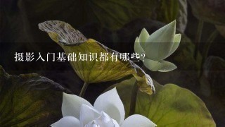 摄影入门基础知识都有哪些?