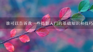 谁可以告诉我1些摄影入门的基础知识和技巧?? 非常感谢~~