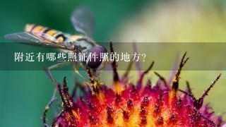 附近有哪些照证件照的地方？