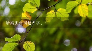 给婚庆公司起名字。