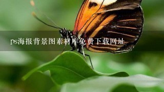 ps海报背景图素材库免费下载网址