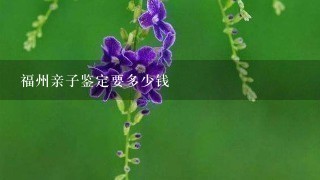 福州亲子鉴定要多少钱